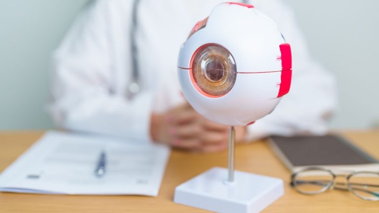 Göz Nedir ve Göz Anatomisi Nasıldır?