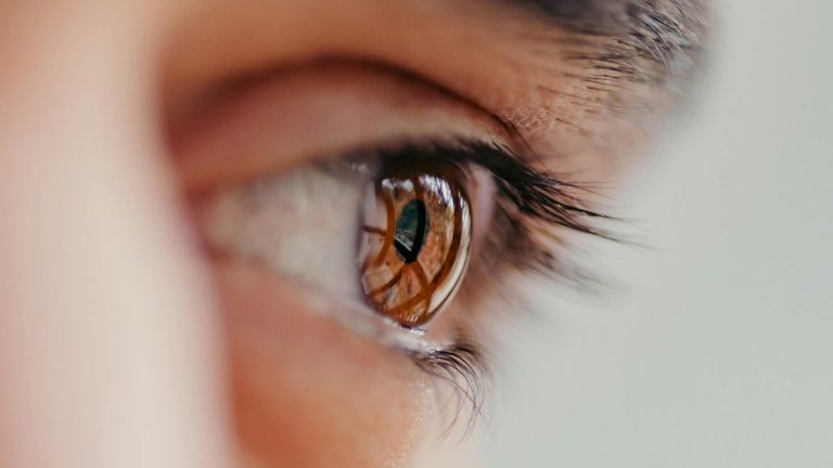 Kornea Nedir ve Göz Anatomisi Nasıldır?